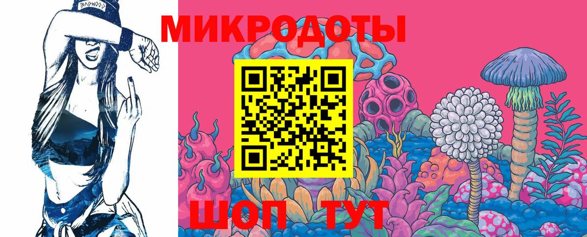 Новосибирск  Галлюциногенные грибы Psilocybe  Вход с VPN 