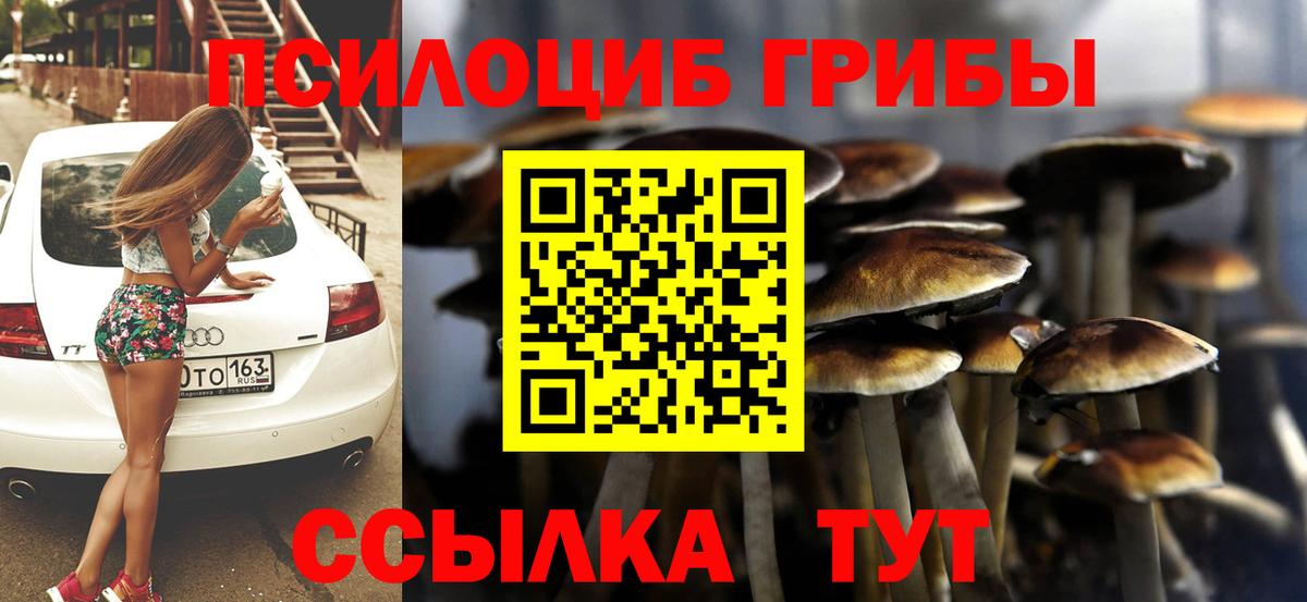 Псилоцибиновые грибы MAGIC MUSHROOMS Новосибирск